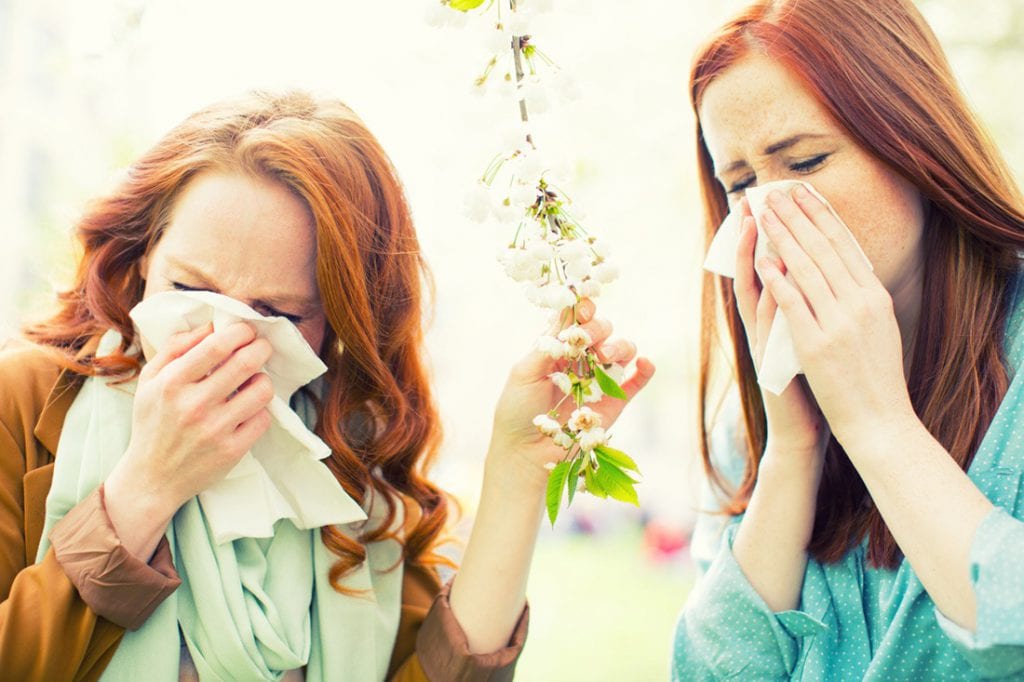 Alergia – problem wielu z nas