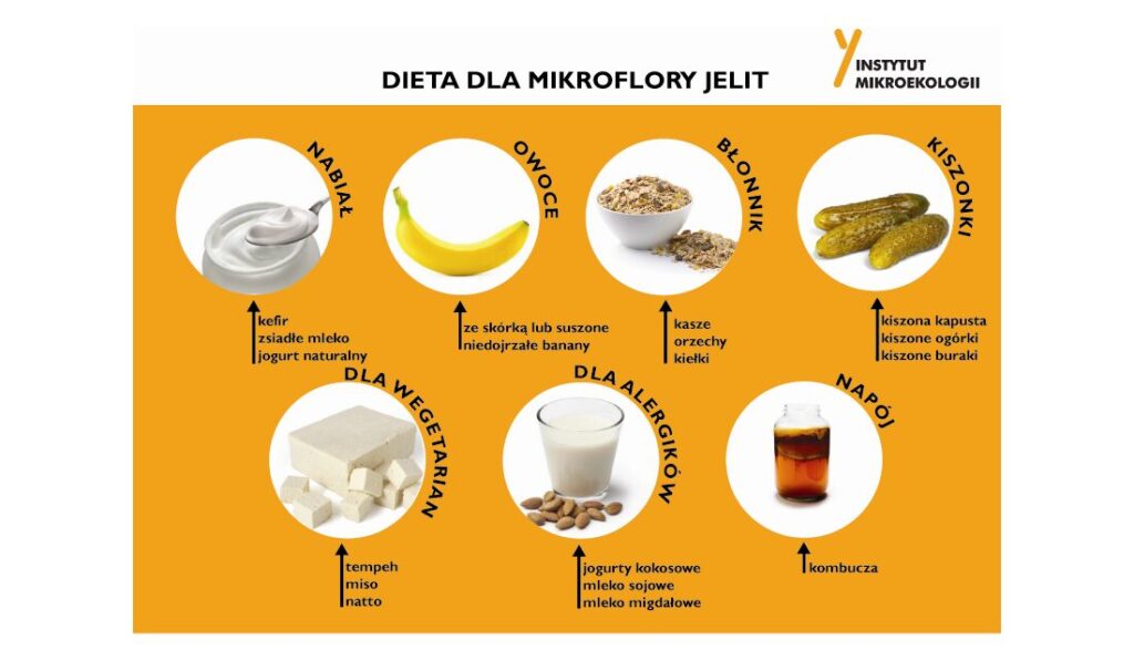 infografika dieta dla mikroflory jelit 1 - Dieta dla mikroflory jelit
