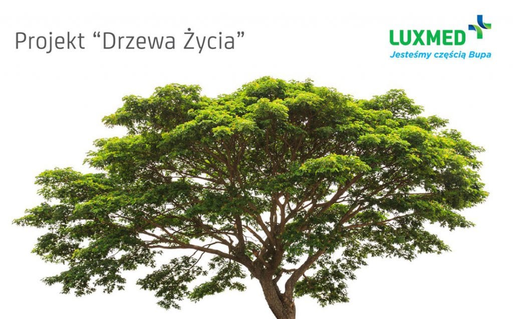 Jak dbać o siebie i o naturę?