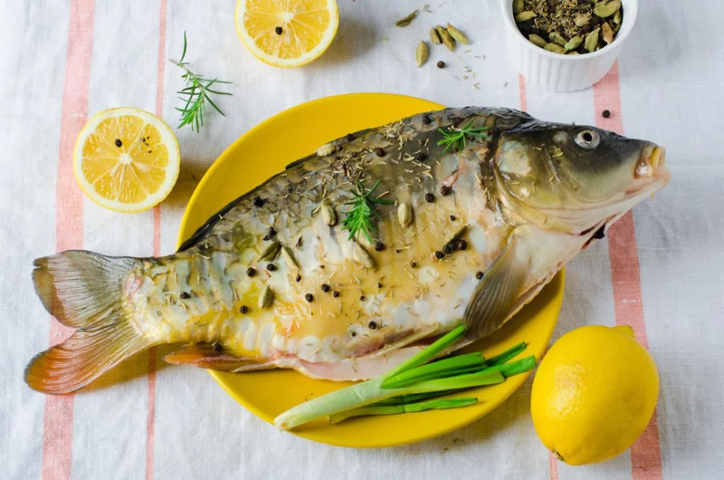 Dobry karp to świeży karp - jak rozpoznać dobrego karpia?