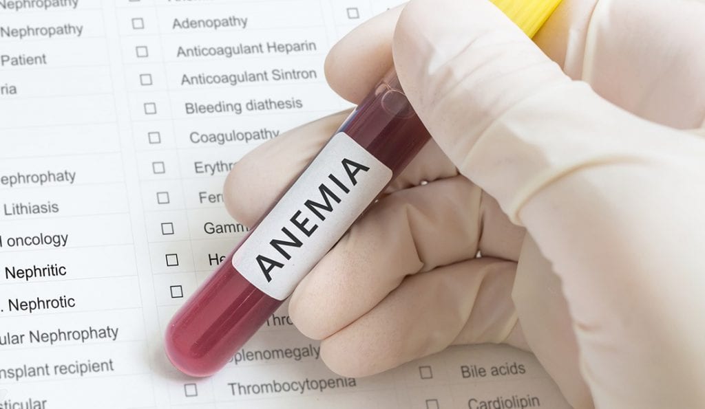 Moda na weganizm a anemia