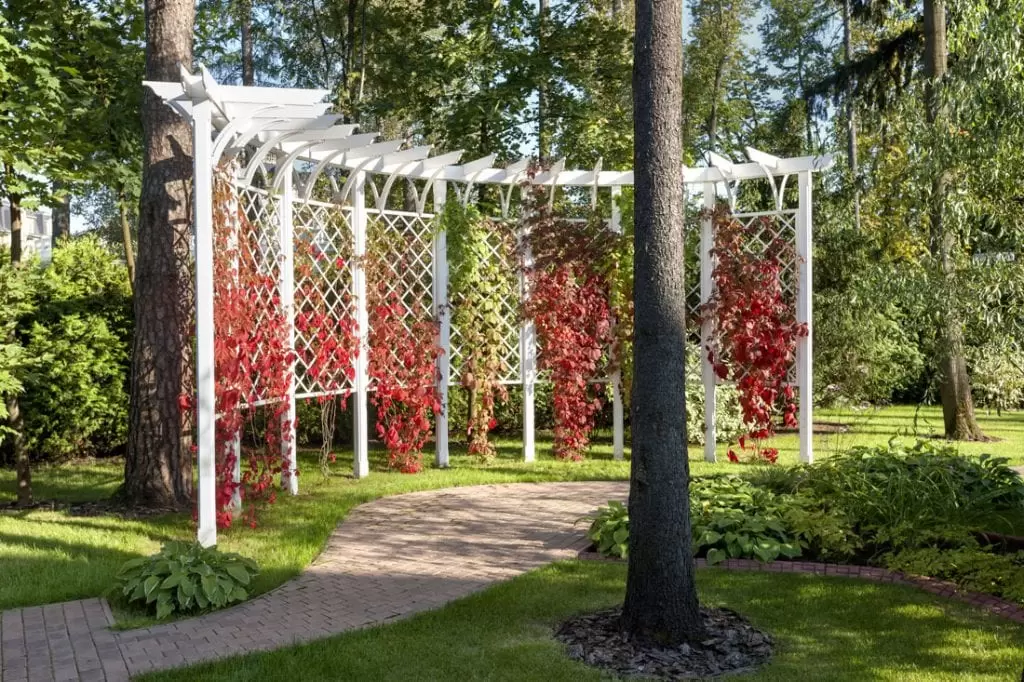 Pergola w ogrodzie
