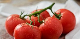 Pomidory w roli głównej