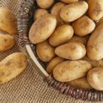 poznaj blizej pana ziemniaka typy kulinarne ziemniakow