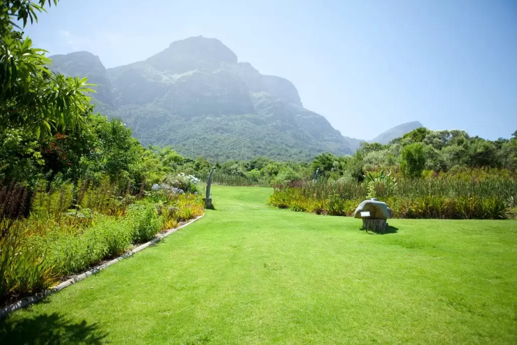 Narodowy Ogród Botaniczny Kirstenbosch - RPA