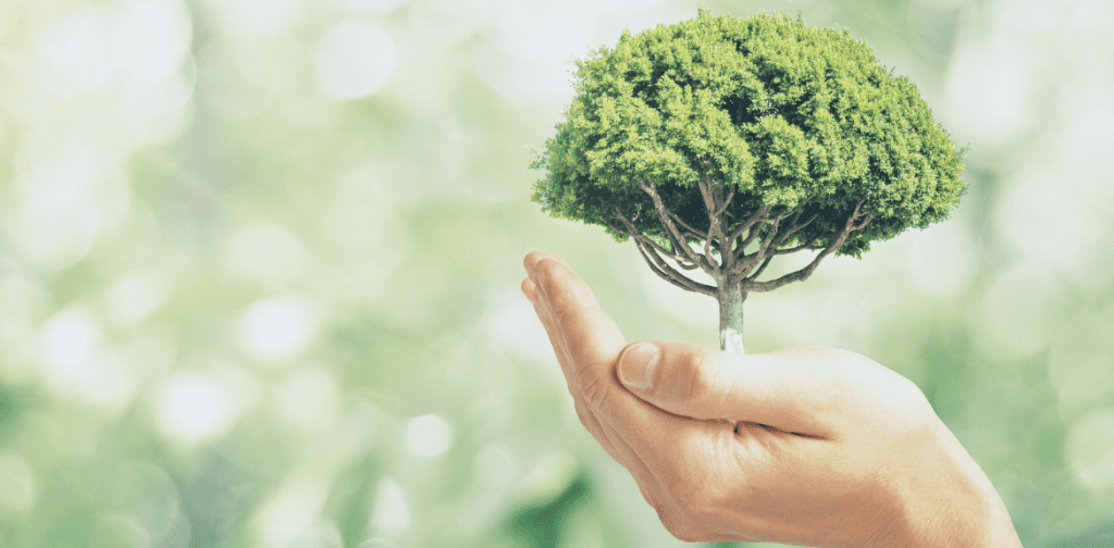 7 rzeczy, które sprawiają, że jesteś eco friendly