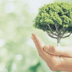 7 rzeczy, które sprawiają, że jesteś eco friendly