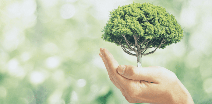 7 rzeczy, które sprawiają, że jesteś eco friendly