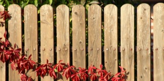 Jak skutecznie dbać o drewno i metal w domu lub ogrodzie? Z produktami V33 i Starwax to proste!