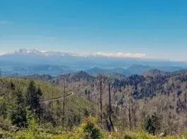 Gdzie najlepsze wakacje w górach? Może Beskid Sądecki, Krynica Zdrój i noclegi w Piastun Spa & Wellness?