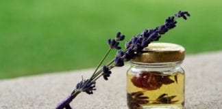 Dlaczego warto stosować olejek lawendowy? 5 najważniejszych powodów