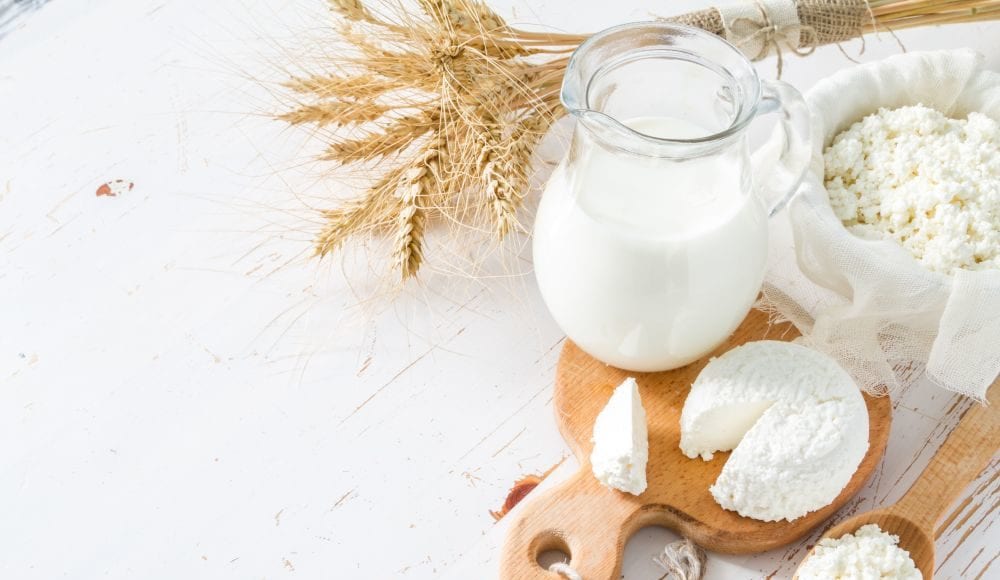 Które bakterie kwasu mlekowego najlepiej wpływają na układ trawienny? Poznaj naturalne źródła probiotyków