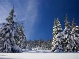 Bieszczady - trasy z dziećmi